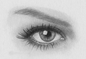Come Disegnare Un Occhio Realistico Cerchio Di Giotto