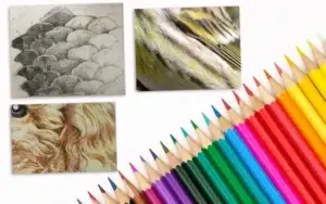 Nati per le Matite Colorate